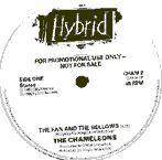 The Chameleons : The Fan and the Bellows (Promo)